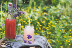 Rhabarbersirup selbstgemacht - grundrezept für Rhabarbersirup
