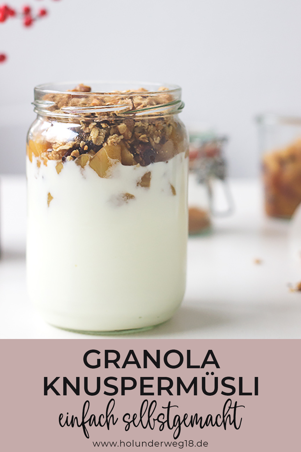 Granola - selbstgemachtes Knuspermüsli mit Leinsamen und Nüssen